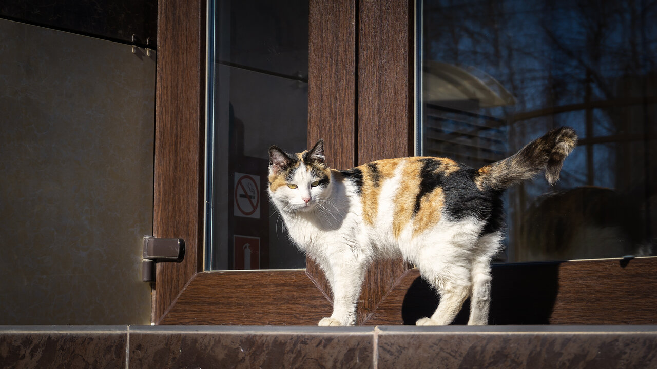 Гостиница Виктория Ставрополь-11