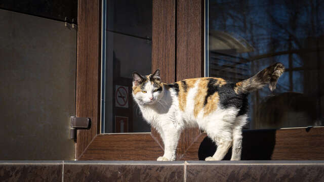 Гостиница Виктория Ставрополь-10